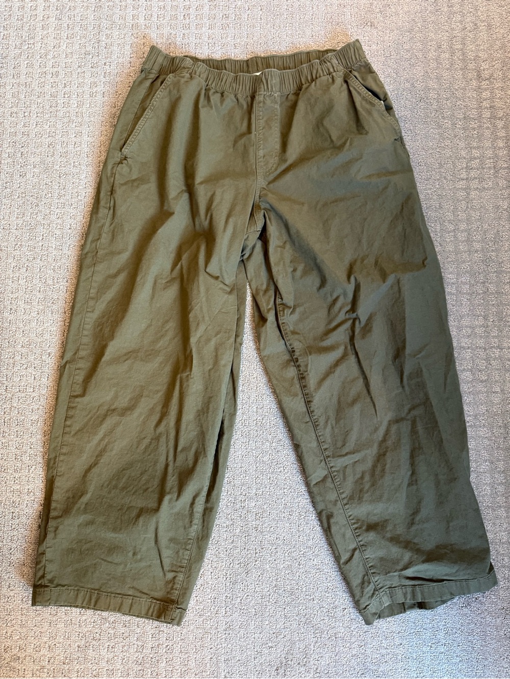 American Eagle Outfitters Olive Drawstring Chinos